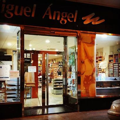 Miguel Ángel Bellas Artes